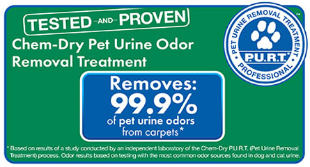 Chem-Dry's Pet Urine & Odor Removal Removes 99.9% of Pet Urine Odor & 99.2% Of Pet Urine Bacteria For A Healthier Home